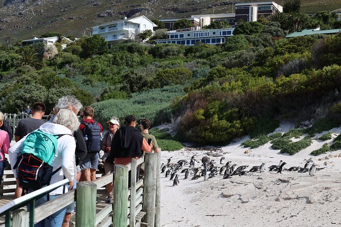 Cape Town: Cape of Good Hope, Table Mountain & Wine Tasting Tour - Cape Point Vineyards adds a welcome pause