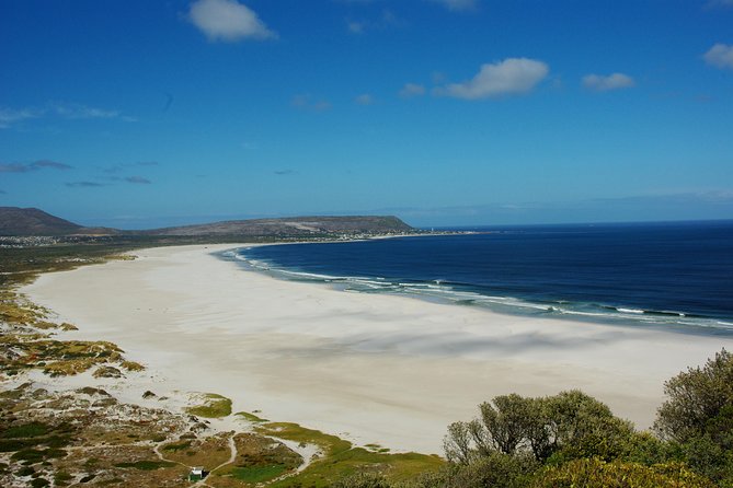 Cape Town: Cape Peninsula Half Day Private Tour - Why this five-hour private tour works