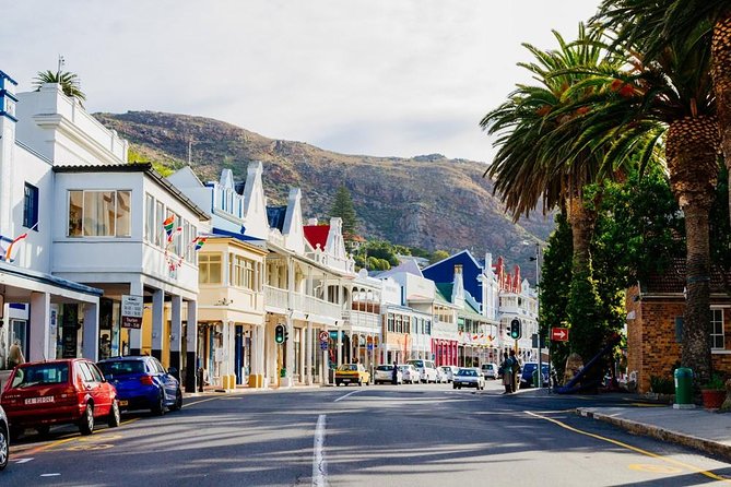 Cape Town: Cape Peninsula Half Day Private Tour - Cape of Good Hope Nature Reserve: two hours among fynbos and wildlife