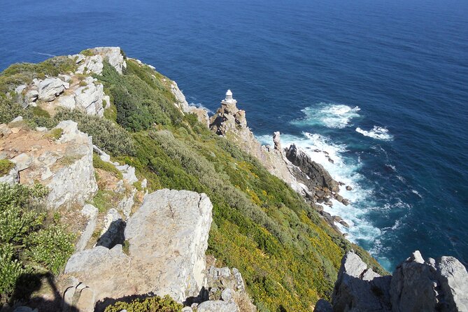 Cape Town: Cape Peninsula Half Day Private Tour - Boulders Beach and the African penguin colony
