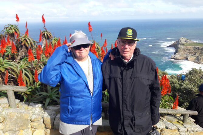 Cape Town: Cape Peninsula Half Day Private Tour - Who should book this Cape Peninsula outing?