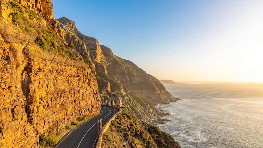 Cape Town: Cape Point and Penguin Colony Full Day Tour - Why this Cape Peninsula tour works so well