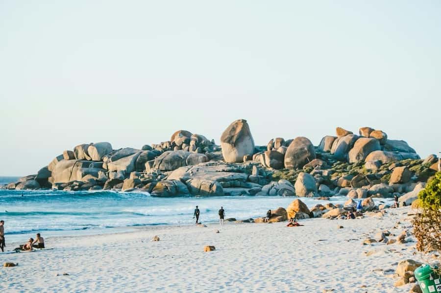 Cape Town: Cape Point and Penguin Colony Full Day Tour - The guide and vehicle can make or break the day