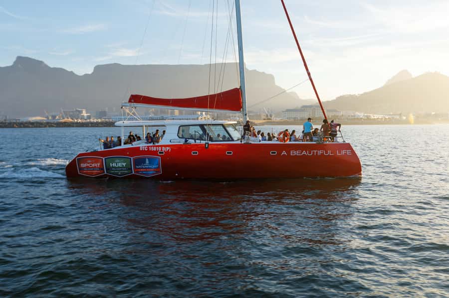 Cape Town: Catamaran Champagne Sunset Cruise - Key points to know before boarding