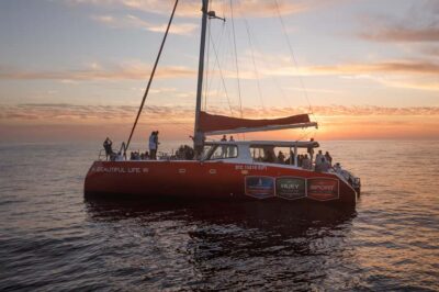 Catamaran Champagne Sunset Cruise