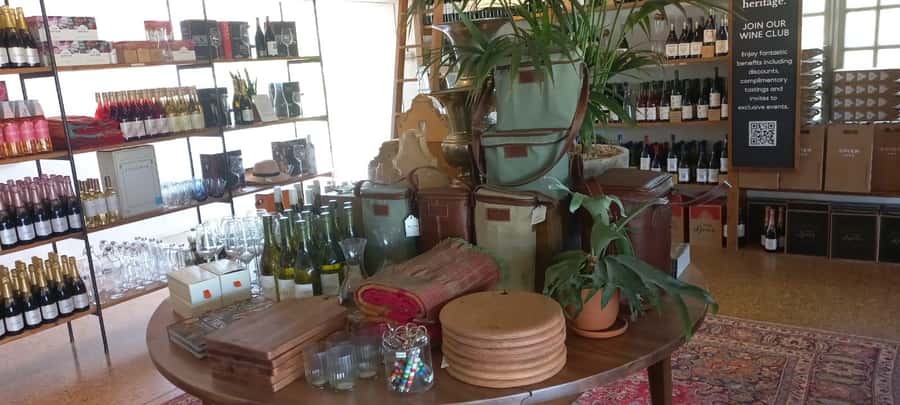 Cape Town: Cheetah Outreach and Winelands Day Tour - Why this Cape Town day trip works