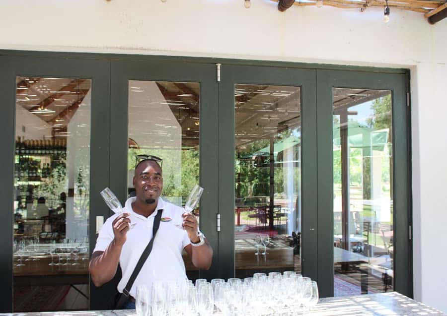 Cape Town: Cheetah Outreach and Winelands Day Tour - Three hours at Cheetah Outreach in Somerset West