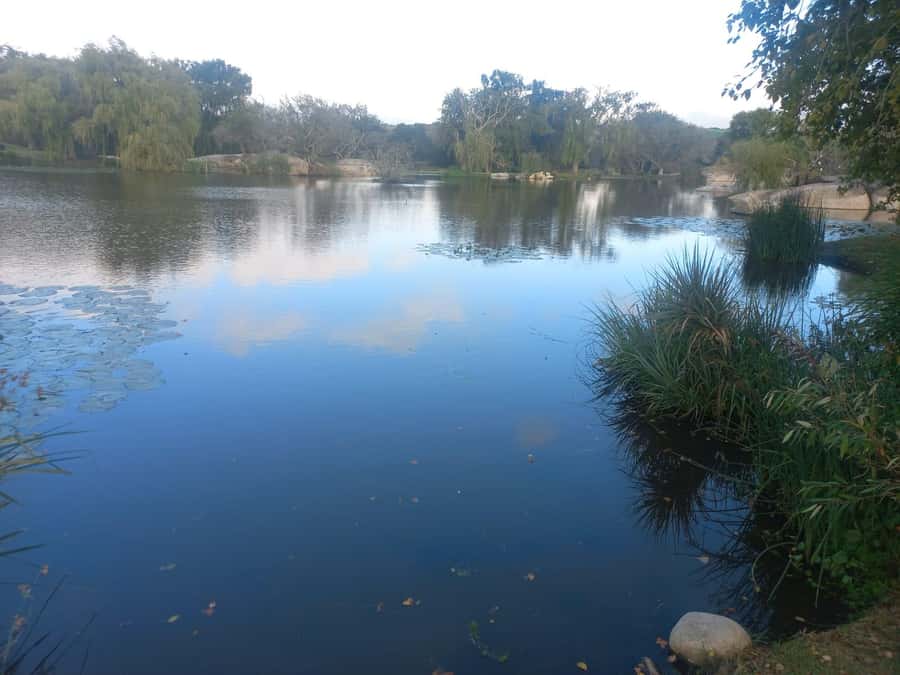 Cape Town: Cheetah Outreach and Winelands Day Tour - L’Avenir Country Lodge brings a quieter wine-country stop