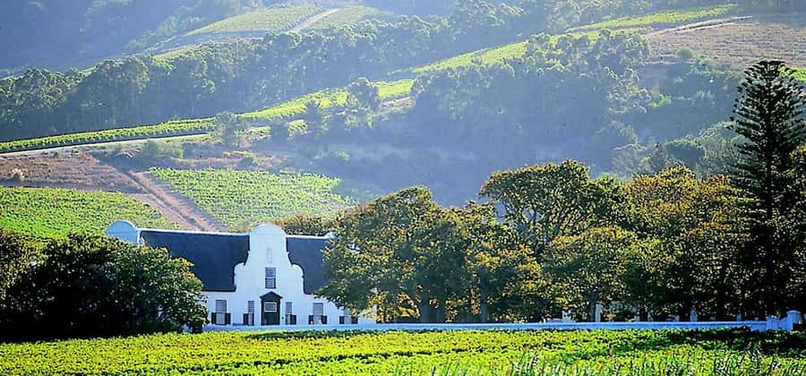 Cape Town: Cheetah Outreach and Winelands Day Tour - Spier Wine Farm adds two hours for tasting and shopping