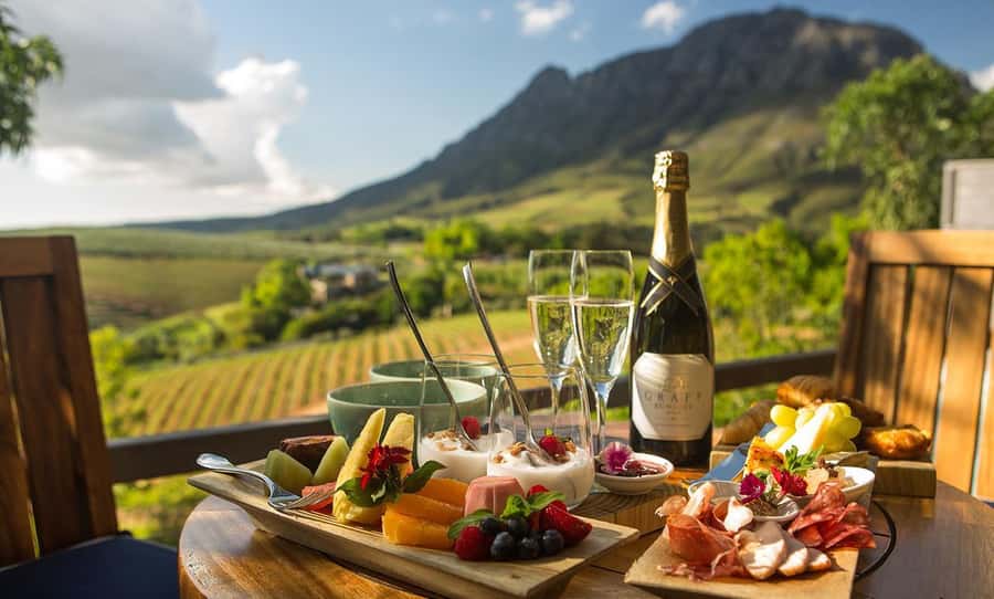 Cape Town: Cheetah Outreach, Giraffe Encounter & Wine Tour - Stellenbosch brings wine into the picture
