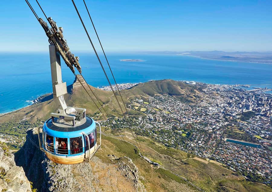 Cape Town City Pass: Save Over 50% on 80+ Top Attractions - Family activities and unusual stops