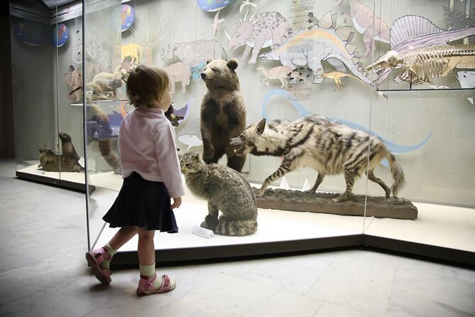 Cape Town City Tour Half-Day - Starting at Company’s Gardens and the museum quarter