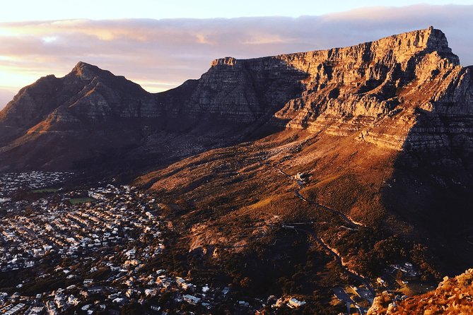 Cape Town City Tour Half-Day - What the guide can add to the day