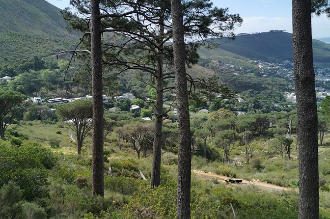 Cape Town City Tour including Lion's head with Wi-Fi on board. - Camps Bay and the Atlantic coast