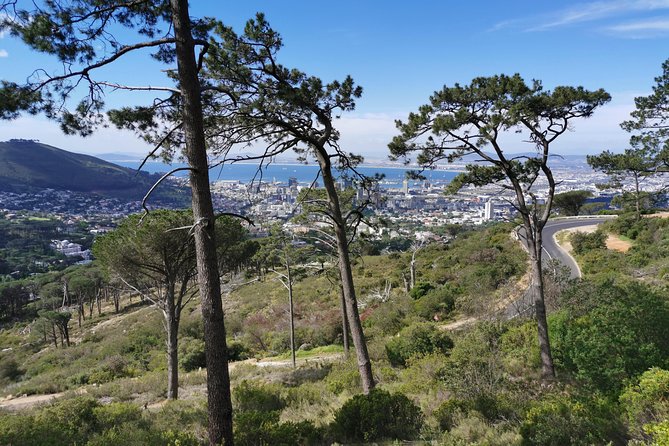 Cape Town City Tour including Lion's head with Wi-Fi on board. - Table Mountain, the V&A Waterfront, and the city in between