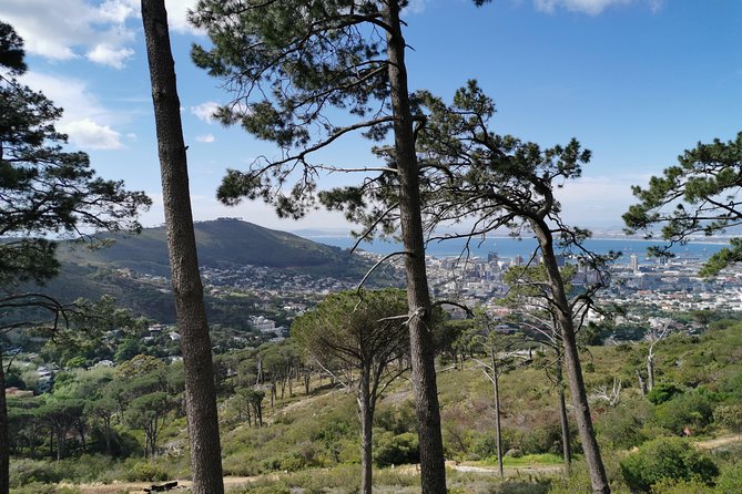 Cape Town City Tour including Lion's head with Wi-Fi on board. - Guide quality can shape the whole experience
