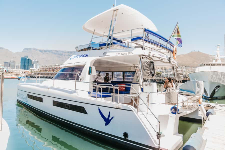 Cape Town: Coastal Cruise & 14-piece Sushi Meal - Key points at a glance