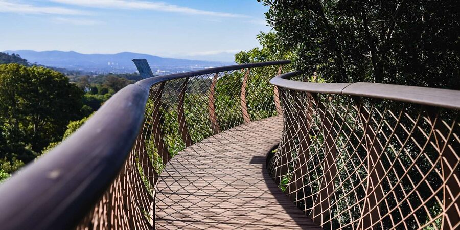Cape Town: Constantia Half-Day Wine Tour & Tastings - Should You Book the Constantia Half-Day Tour?