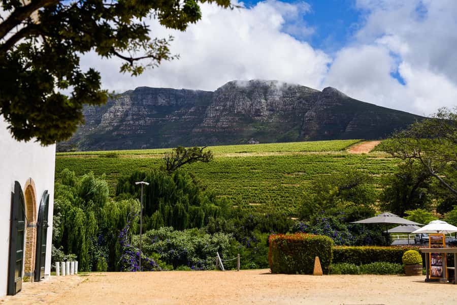 Cape Town: Constantia Half-Day Wine Tour & Tastings - Why Constantia Works So Well as a Half-Day Trip