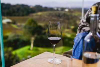 Constantia Half-Day Wine Tour & Tastings