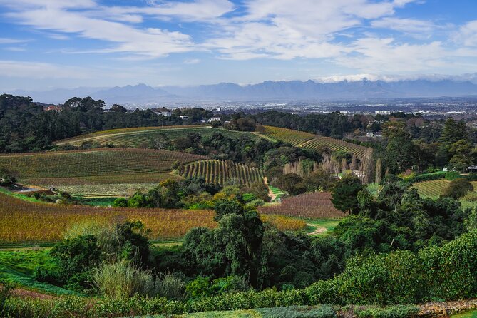 Cape Town: Constantia Wine Route Tour - Grande Provence: the polished finale