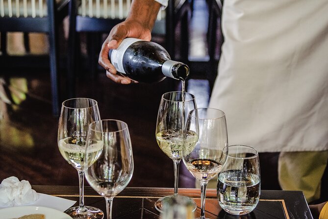 Cape Town: Constantia Wine Route Tour - Who should book this day