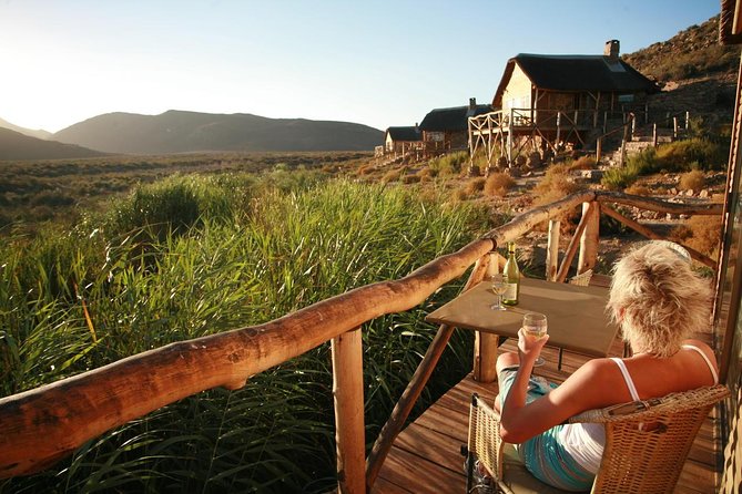 Cape Town Day Safari - Two to three hours in an open safari vehicle