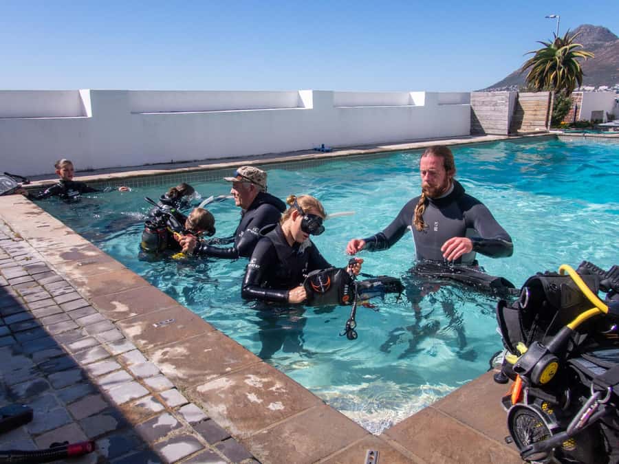 Cape Town: Discover Scuba Diving - 1 day experience - Key points to know before booking