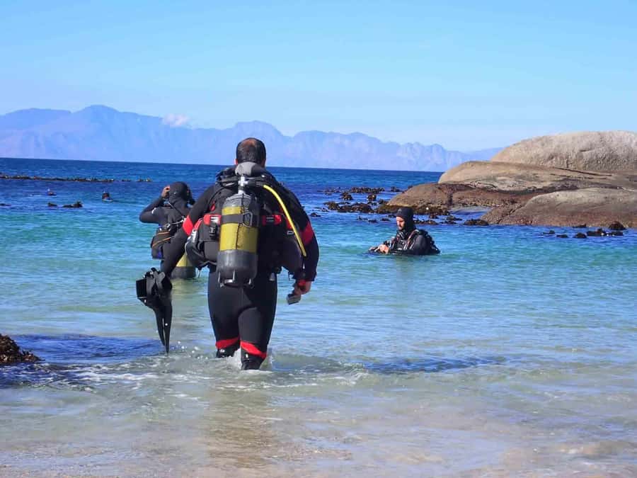 Cape Town: Discover Scuba Diving - 1 day experience - The second hour: safety before the sea
