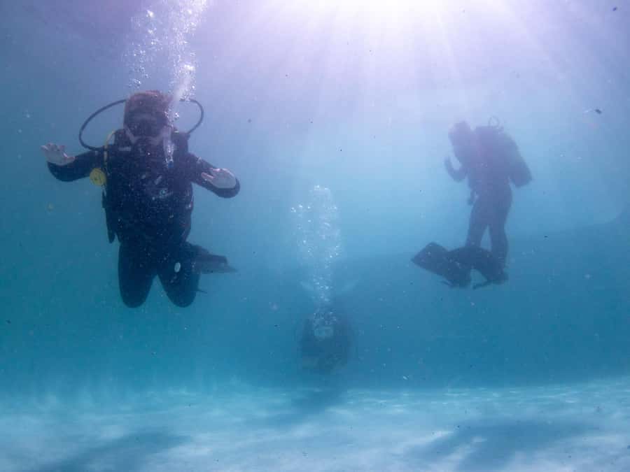 Cape Town: Discover Scuba Diving - 1 day experience - Long Beach: a gentle first look below the surface