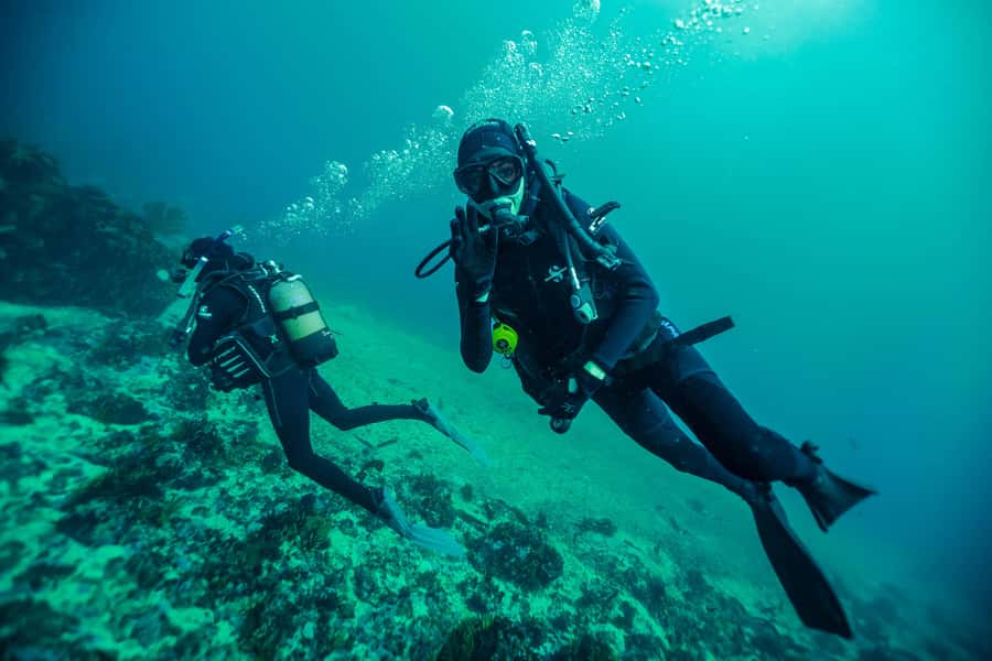 Cape Town: Discover Scuba Diving - 1 day experience - Price, comfort, and what the $155 includes