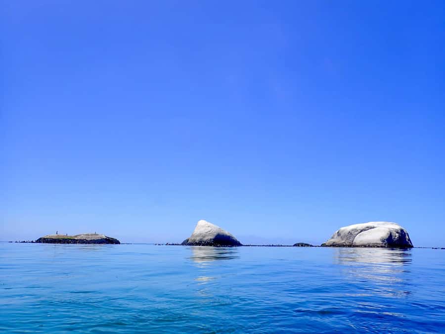 Cape Town: Discover Scuba Diving - 1 day experience - The first hour: learning how the equipment works