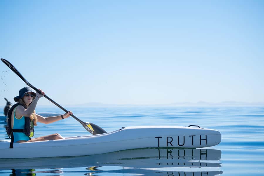 Cape Town: Dolphin & Ocean Wildlife Kayaking Adventure ⚓️ - Key points before you book
