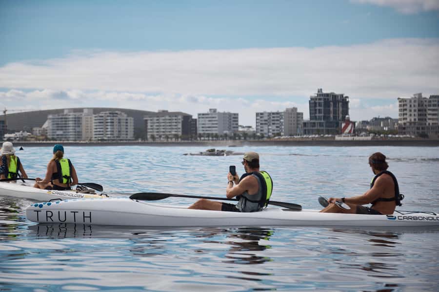 Cape Town: Dolphin & Ocean Wildlife Kayaking Adventure ⚓️ - Why the guides matter on a small ocean outing