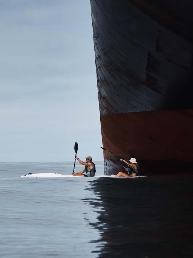 Cape Town: Dolphin & Ocean Wildlife Kayaking Adventure ⚓️ - Is $37 a fair price for two hours?