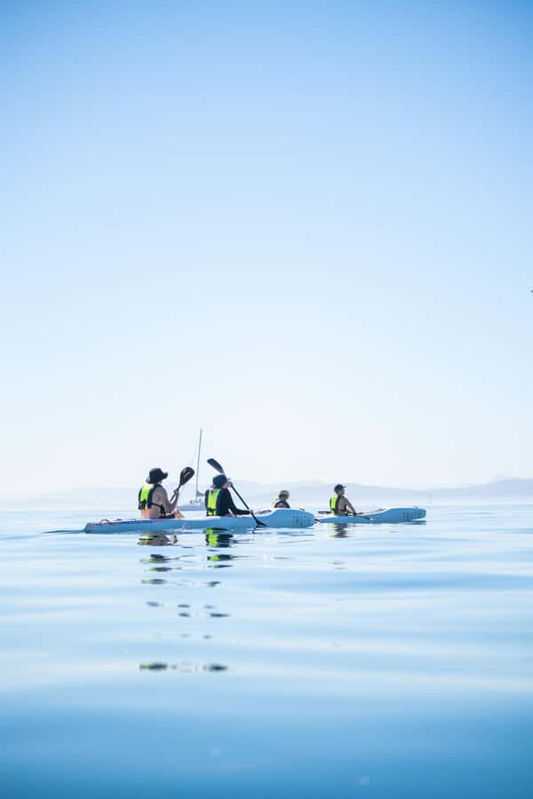 Cape Town: Dolphin & Ocean Wildlife Kayaking Adventure ⚓️ - Practical ways to prepare