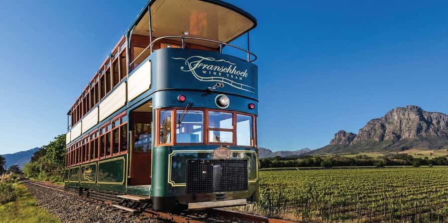 Cape Town: Franschhoek and Wine Tram Tour - Tokara Wine Estate sets the tone