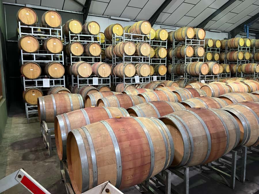 Cape Town: Franschhoek and Wine Tram Tour - Stellenbosch connections and the Mandela stop