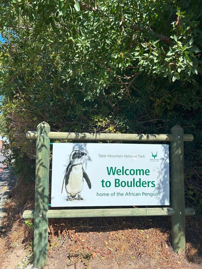 Cape Town: Full Day Cape of Good Hope with Penguins Tour - Who will get the most from this tour