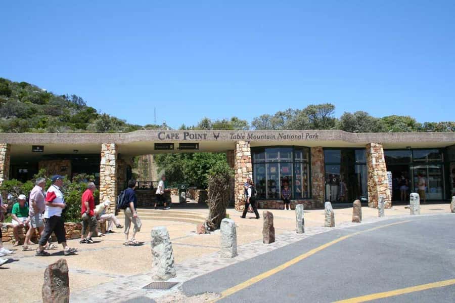 Cape Town: Full-Day Cape Peninsula Tour & Penguin Beach - Lunch and the penguins at Boulders Beach