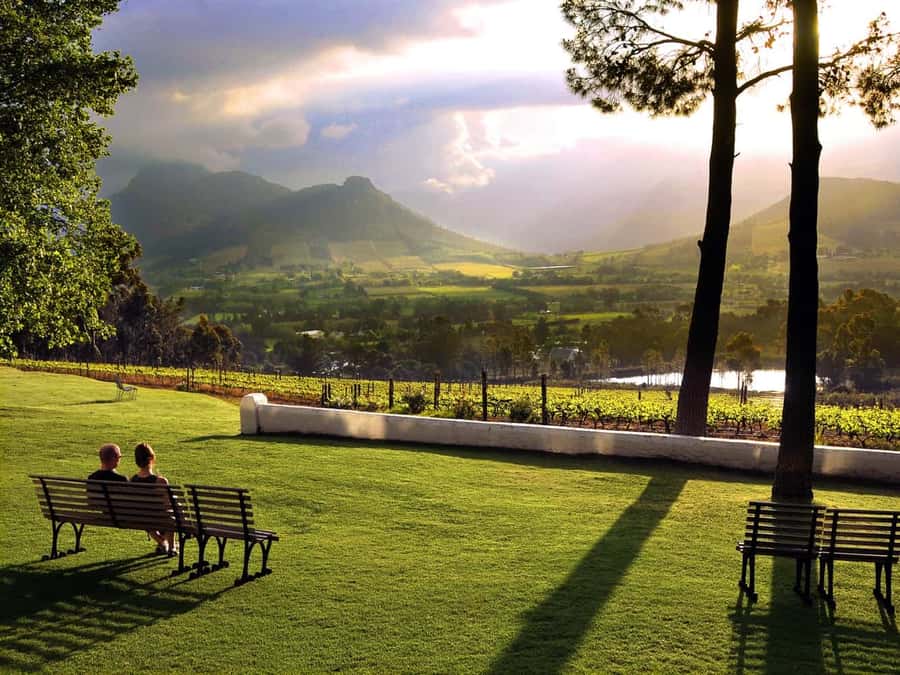 Cape Town: Full-Day Cape Peninsula Tour with Transfers - Five details that shape the day