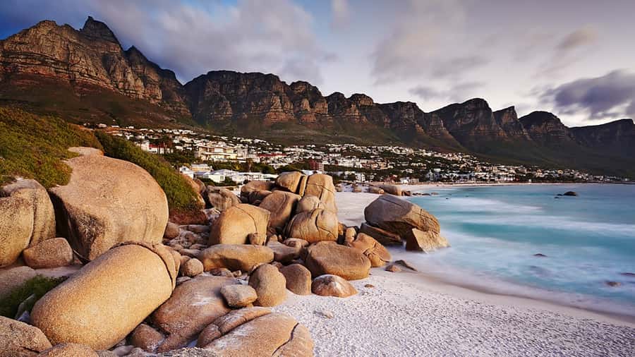 Cape Town: Full-Day Cape Peninsula Tour with Transfers - Chapman’s Peak is the scenic high point