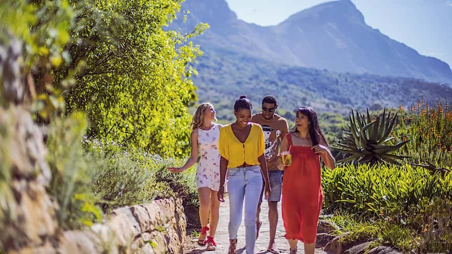 Cape Town: Full-Day Kirstenbosch, Bo-Kaap, and Penguins Tour - The ostrich farm and Chapmans Peak’s 114 curves