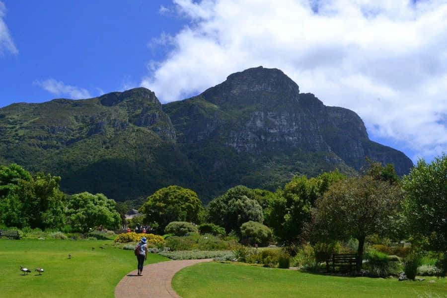 Cape Town: Full-Day Kirstenbosch, Bo-Kaap, and Penguins Tour - Hout Bay seals and the Atlantic Seaboard return