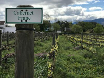 Full-Day Stellenbosch and Franschhoek Wine Tour