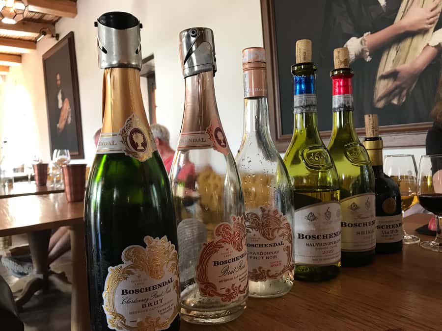 Cape Town: Full-Day Stellenbosch and Franschhoek Wine Tour - The guide can make or break the experience