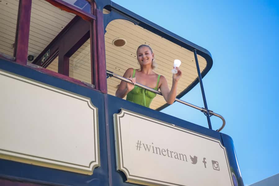 Cape Town: Full-Day Wine Tasting Tour with Wine Tram - Five things to know before you book