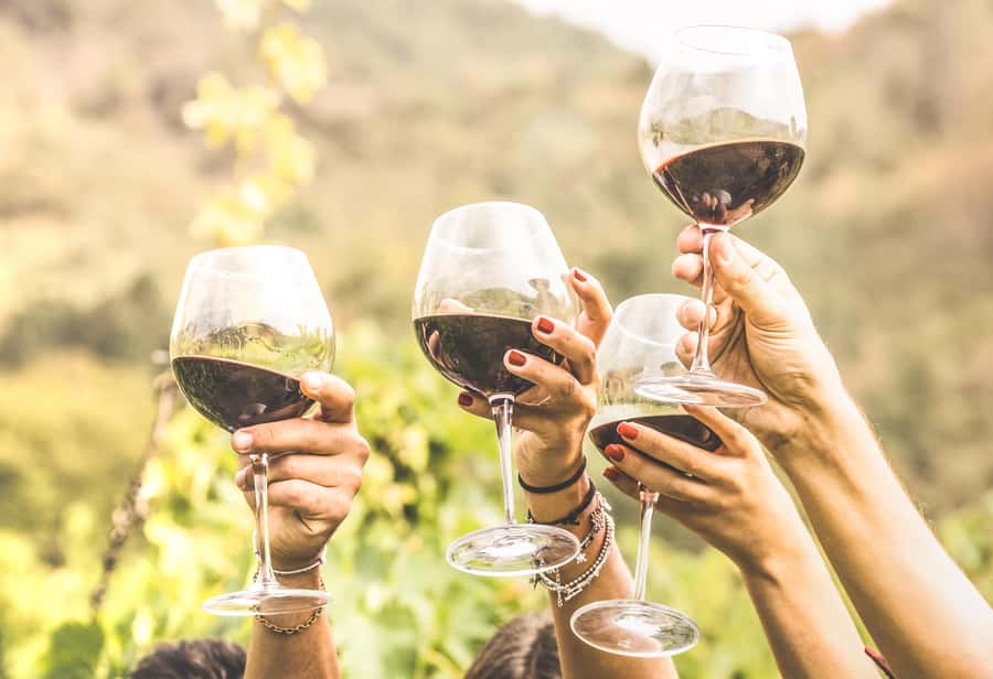 Cape Town: Full-Day Wine Tasting Tour with Wine Tram - Tokara and the view from Hell’s Heights Pass