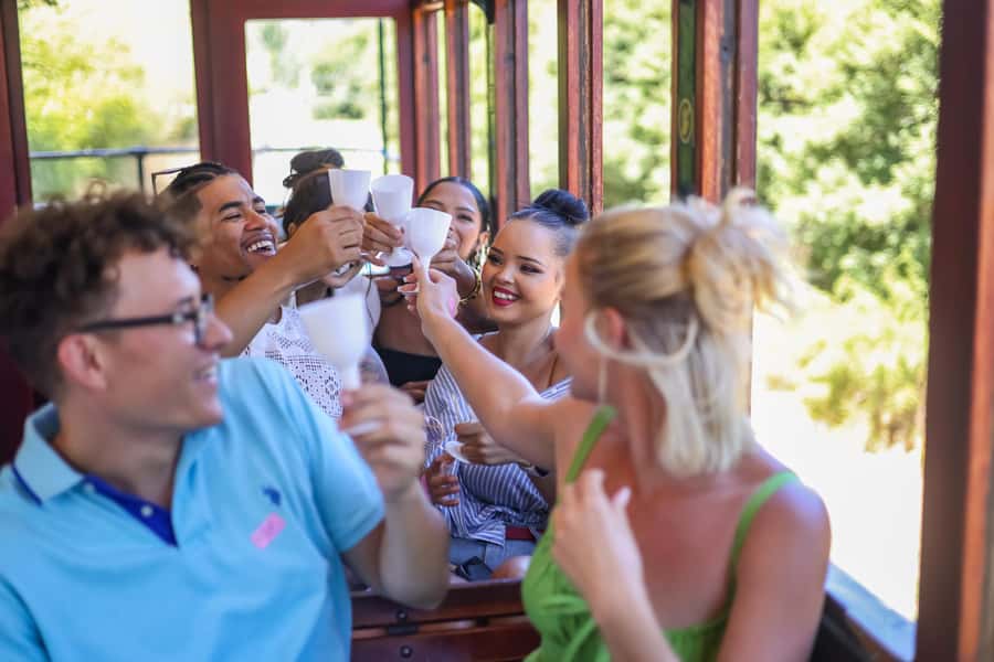Cape Town: Full-Day Wine Tasting Tour with Wine Tram - Franschhoek: lunch, shops, and breathing room