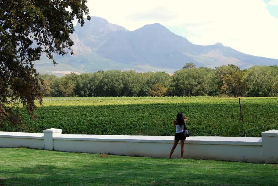 Cape Town: Full-Day Winelands Tour with Wine Tastings & Food - Key points at a glance